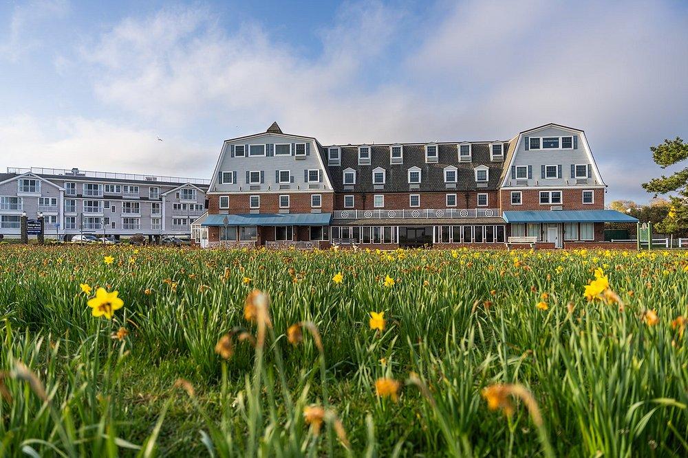 Historic hotel behind a field of yellow daffodils under a blue sky.