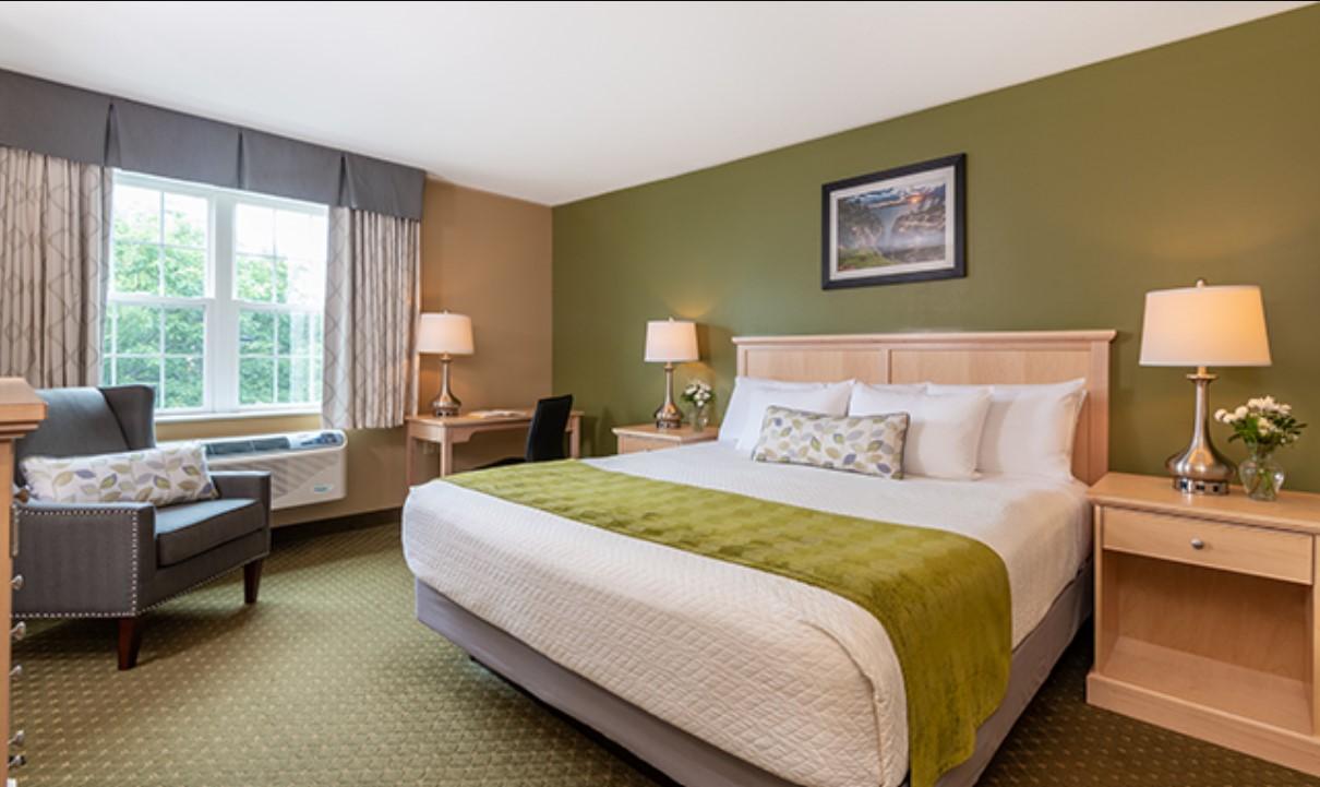 Cozy hotel room with a double bed, green accents, and soft lighting.