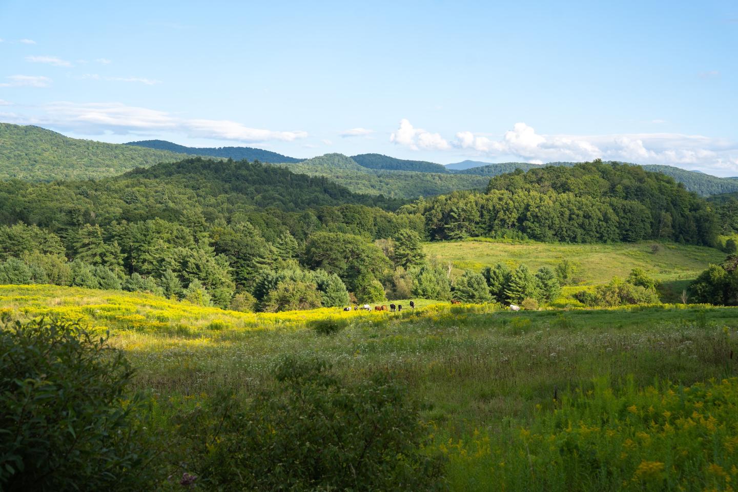 Rolling hills and green fields under a blue sky.
