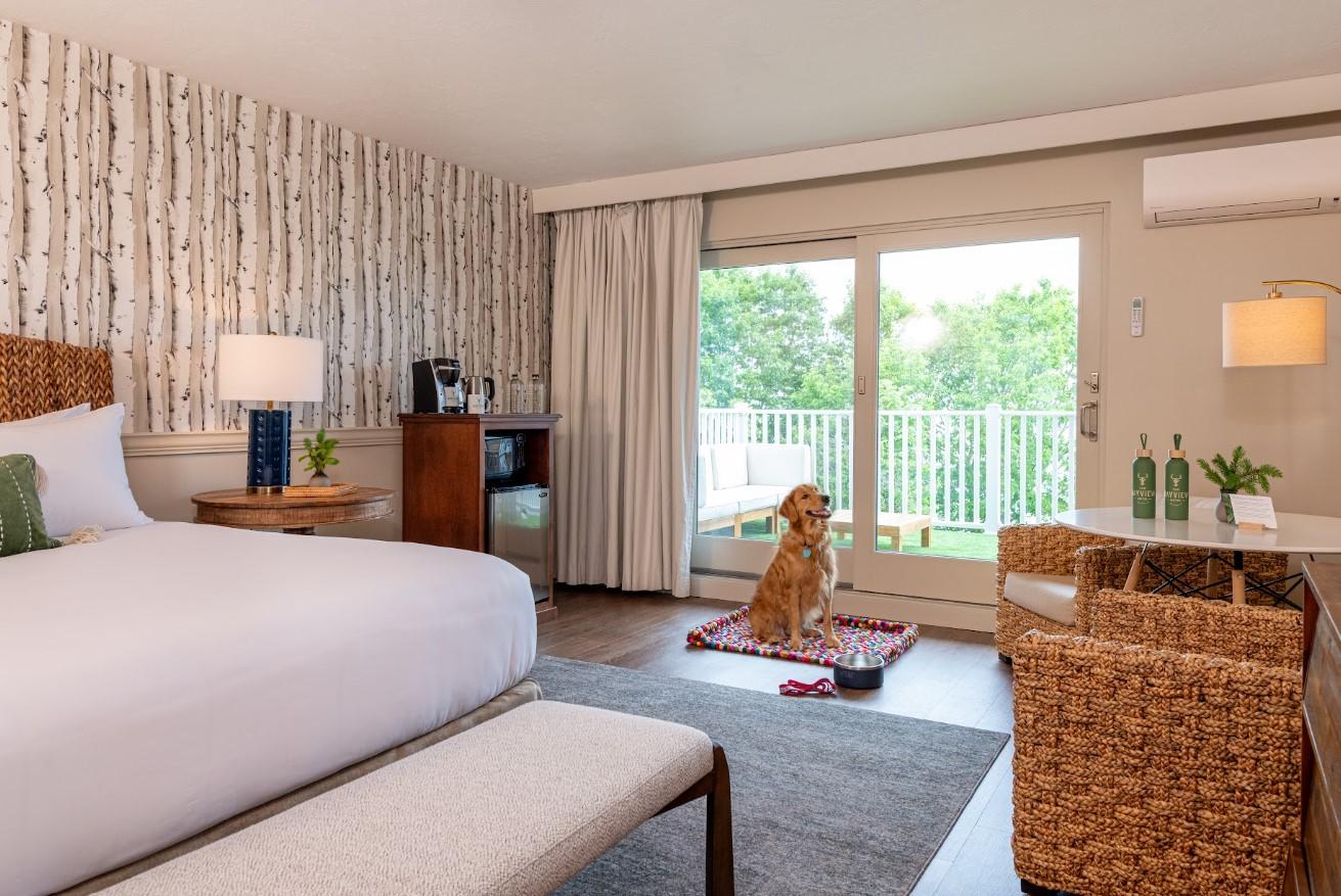 Hotel room with a double bed, sitting area, and a dog on a rug by the window.