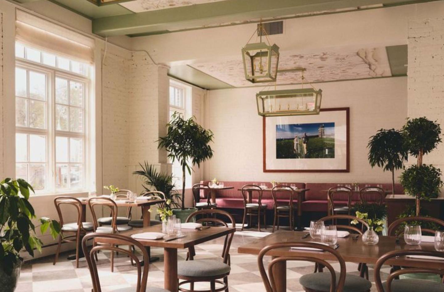 Elegant sunlit café dining room with wooden chairs, plants, and framed artwork.