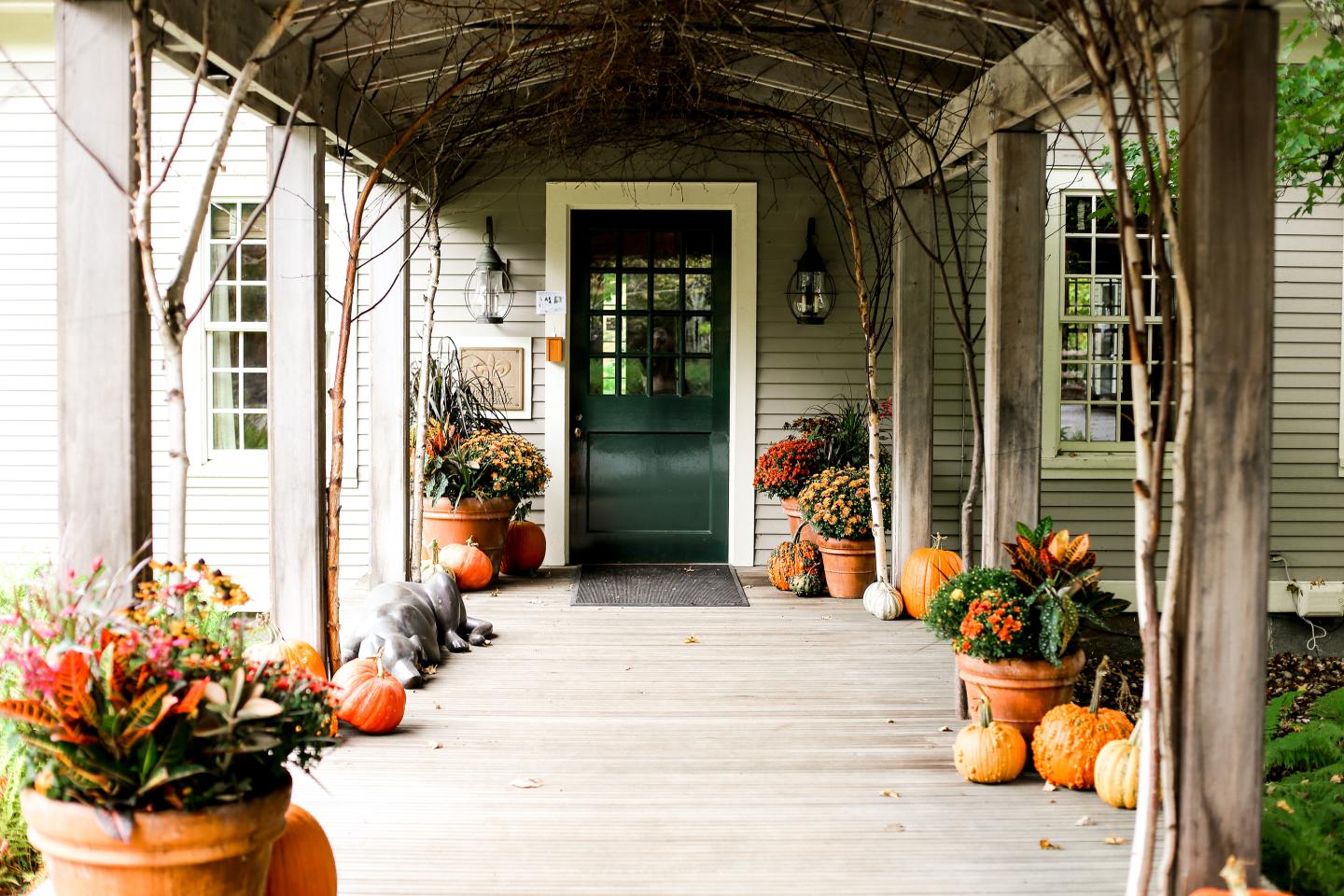 Wooden porch with pumpkins, potted plants, and green door.