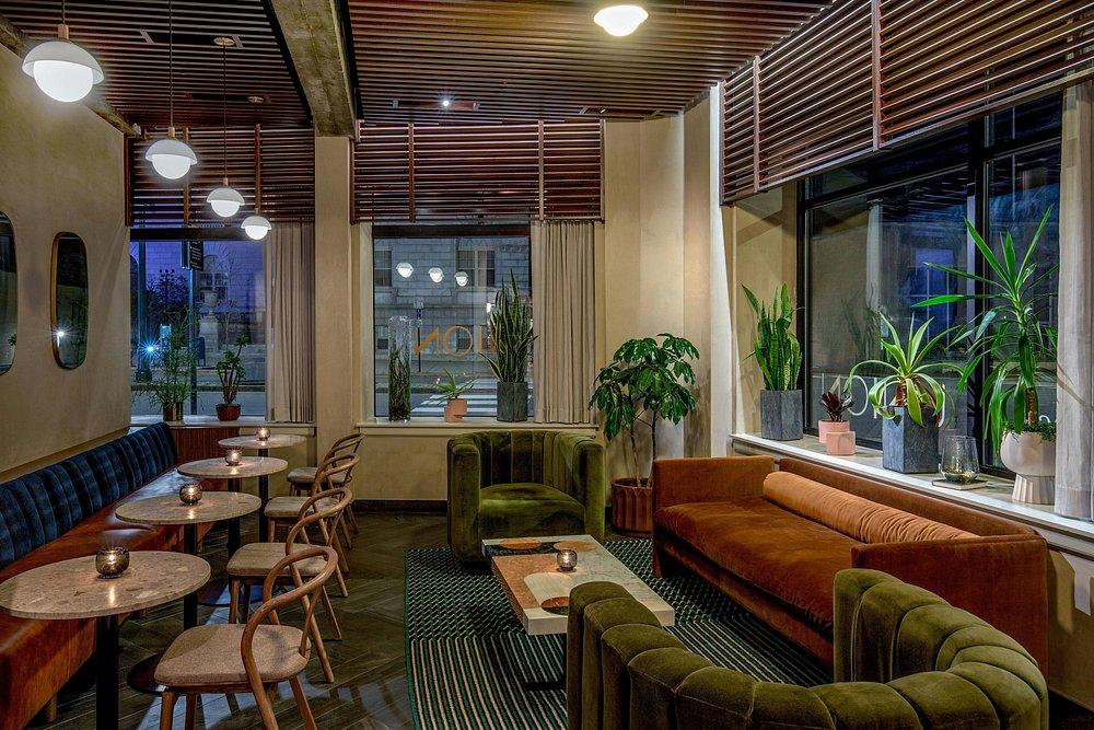 Cozy lounge with modern decor, plants, and dim lighting.