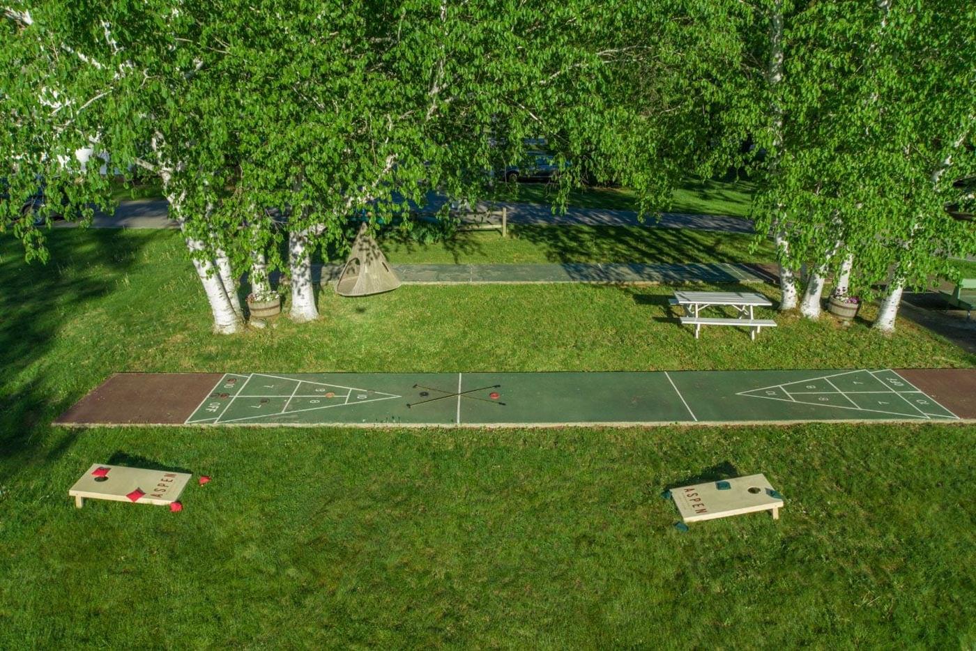 Aerial view of a park with tennis courts beneath leafy trees.