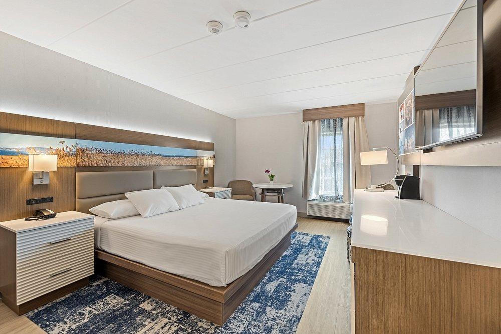 Modern hotel room with king bed, blue rug, desk, and city-view window.