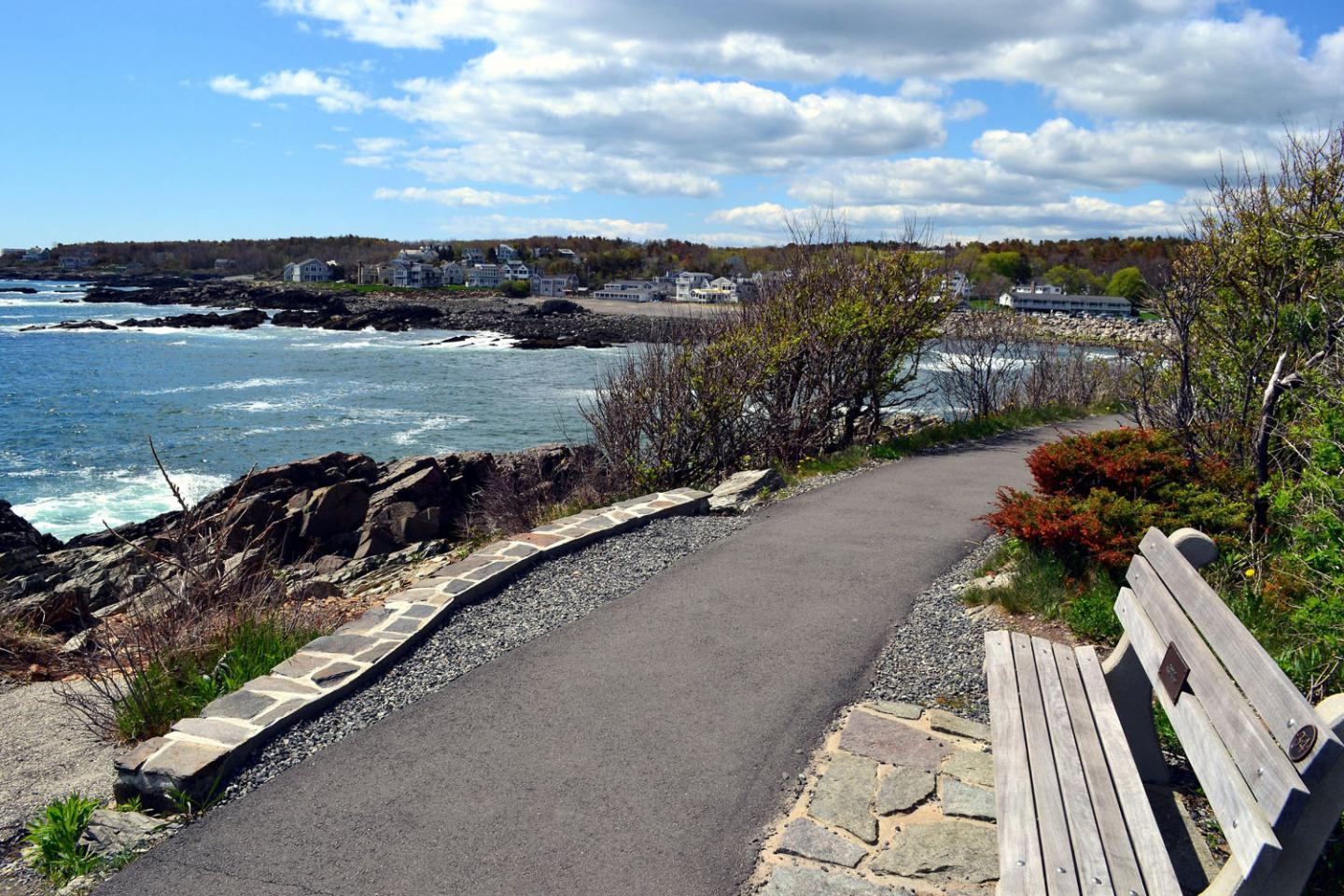 Scenic view from paved path of ocean