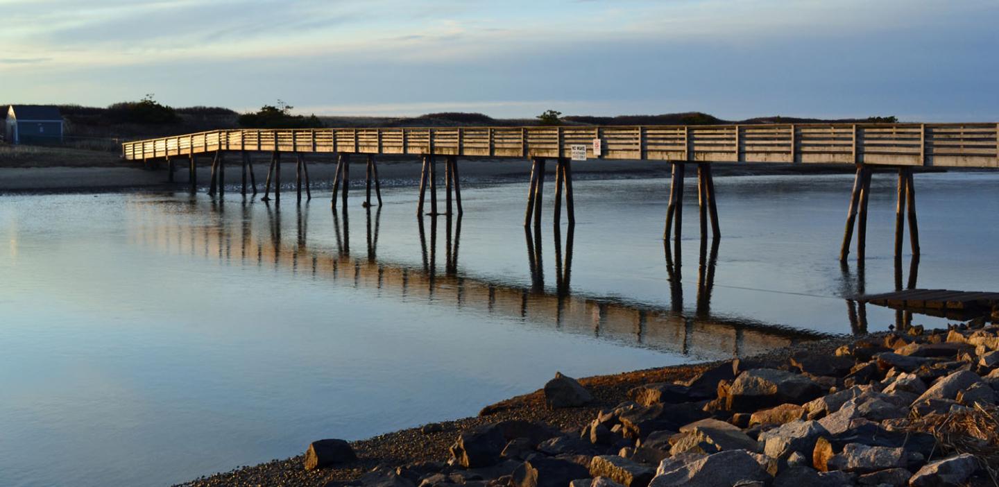 bridge above coastal water