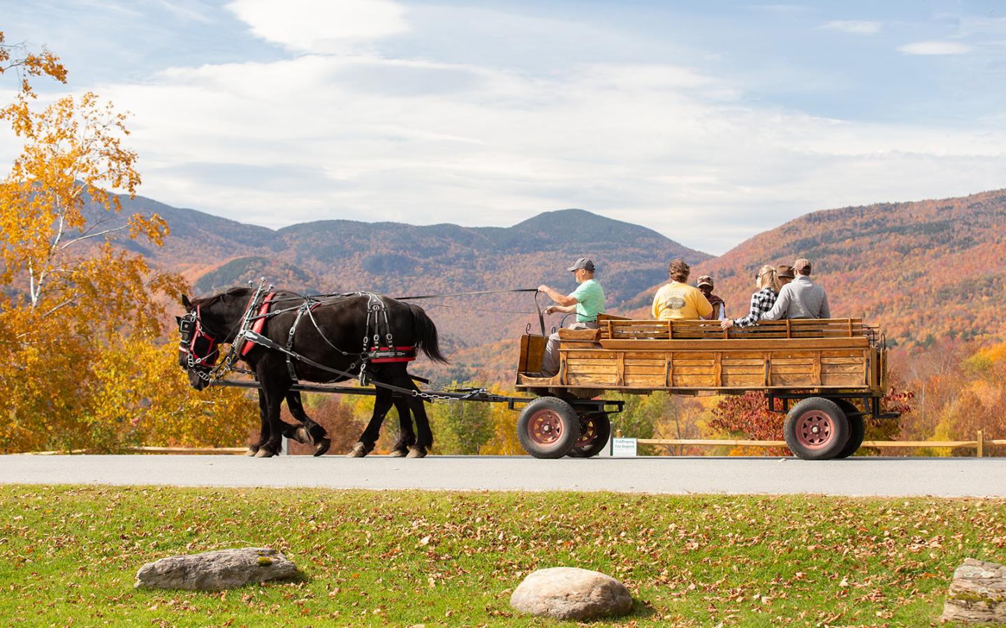 Wagon with people being pulled by horse