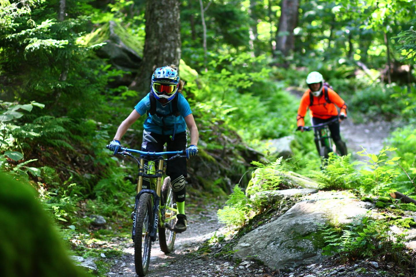 Two mountain bikers riding through a dense forest