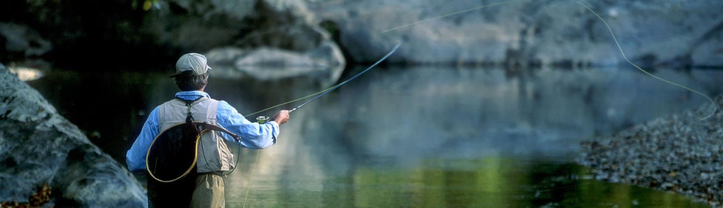 Angler casting a fly from the shore