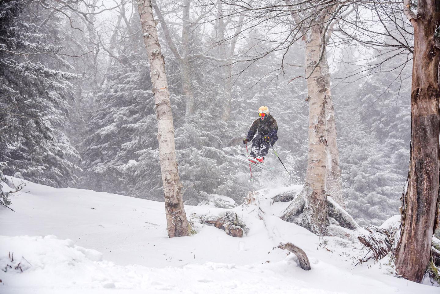 Skier jumping in the air on a snowy day in the woods