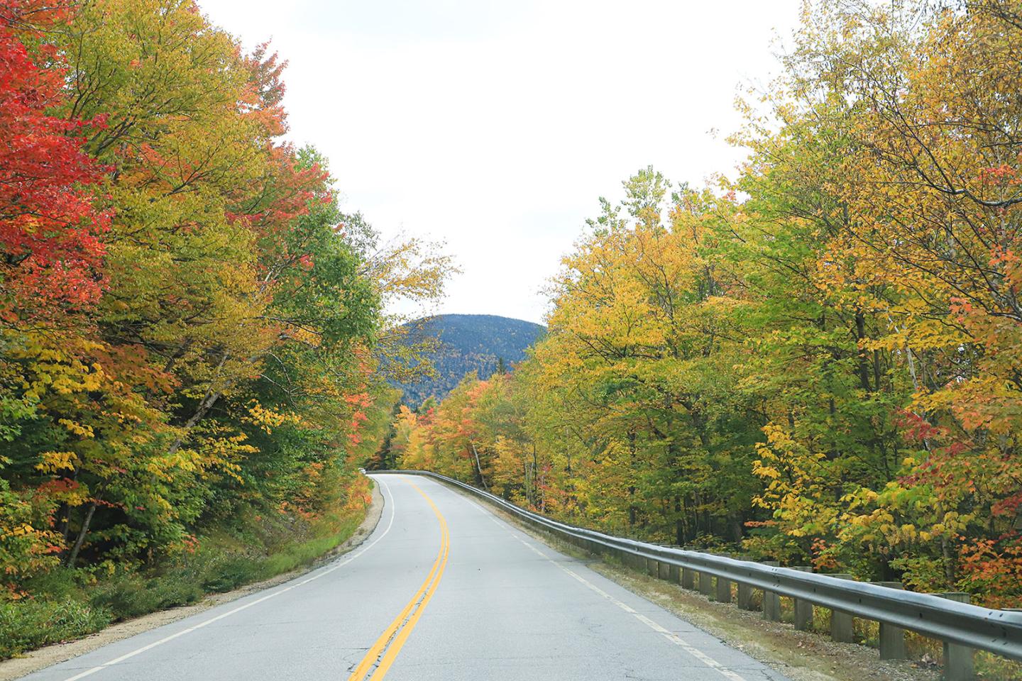 Winding road through fall colored leaves