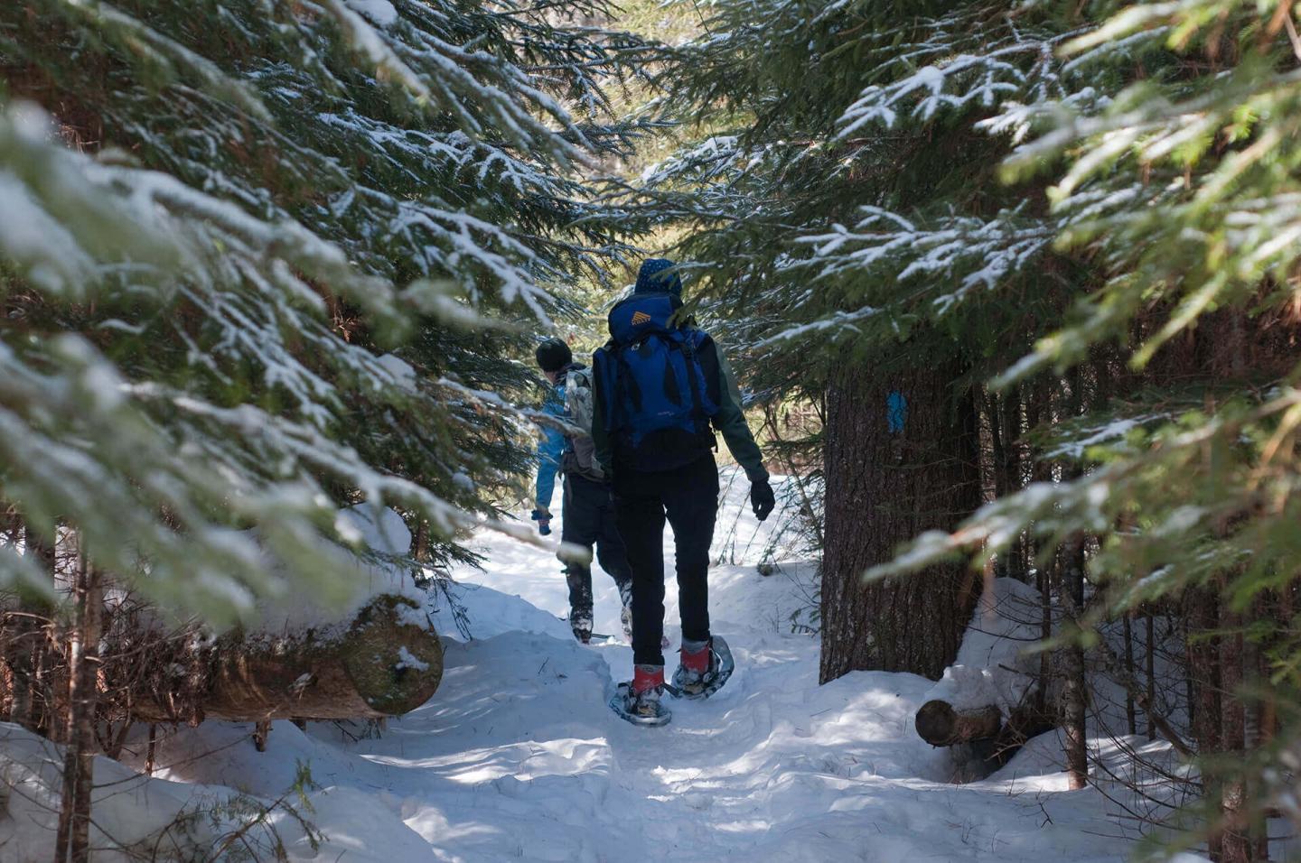 Unusual Outdoor Winter Activities