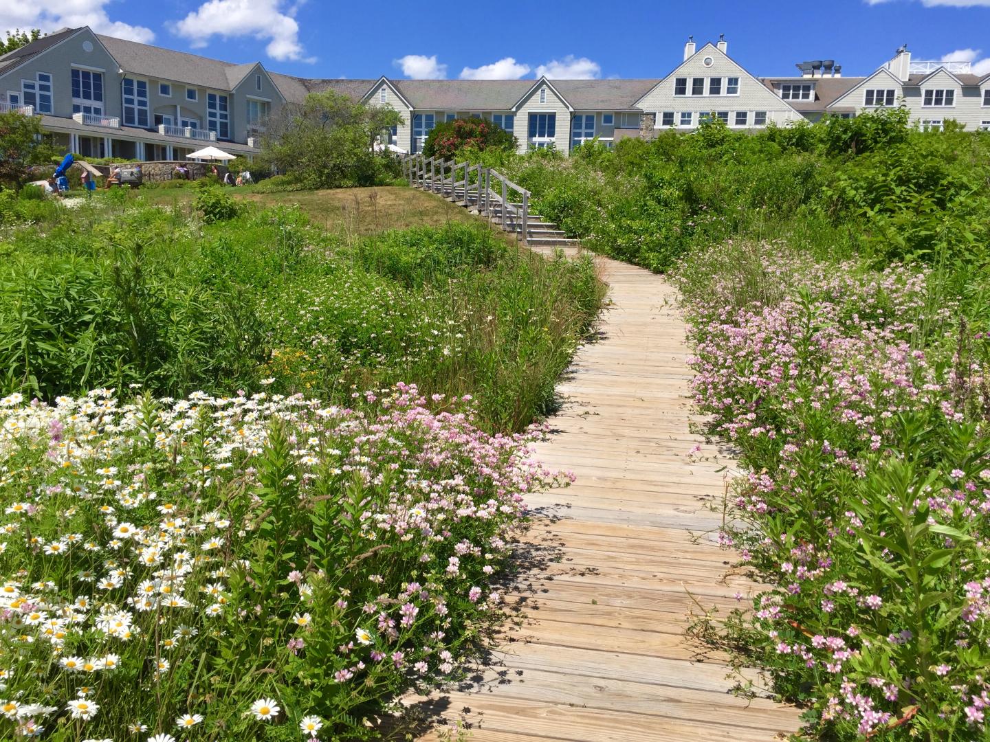 A private boardwalk leads from Crescent Beach to Inn by the Sea 