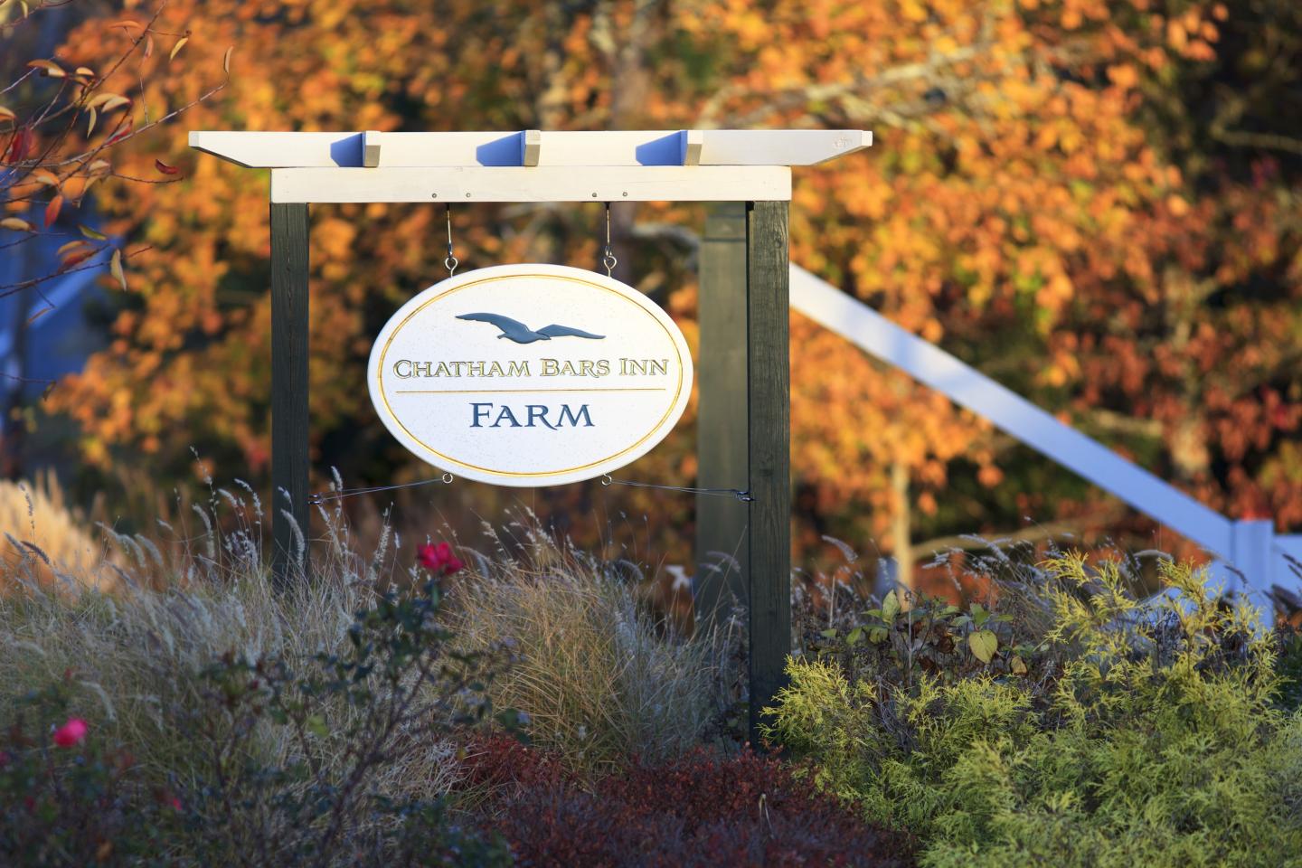 CBI Farm