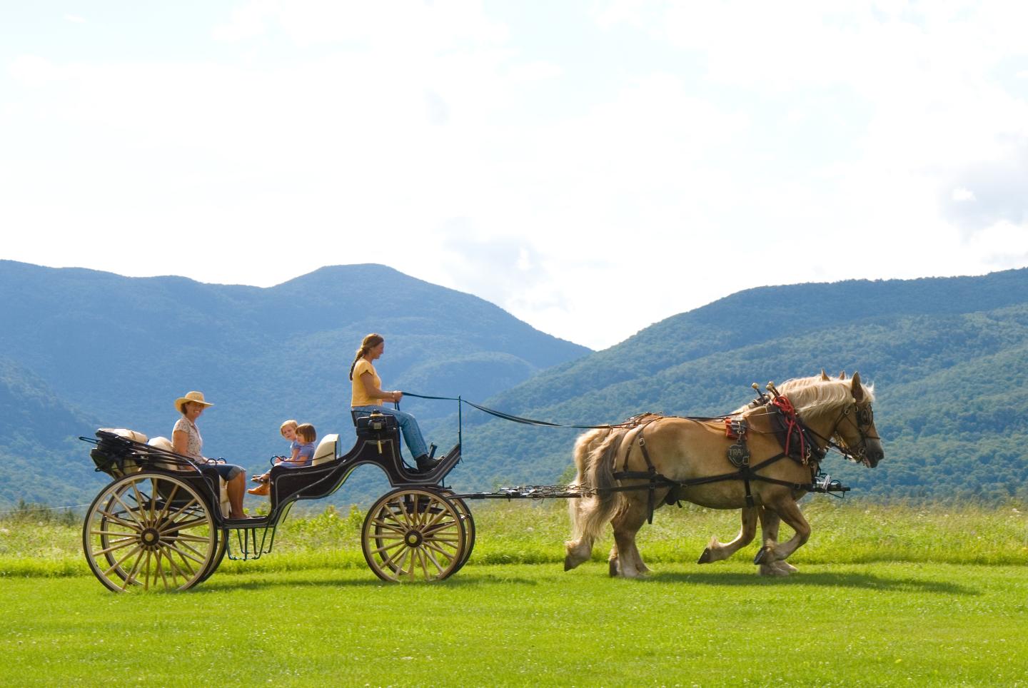 Mountain Carriage Ride