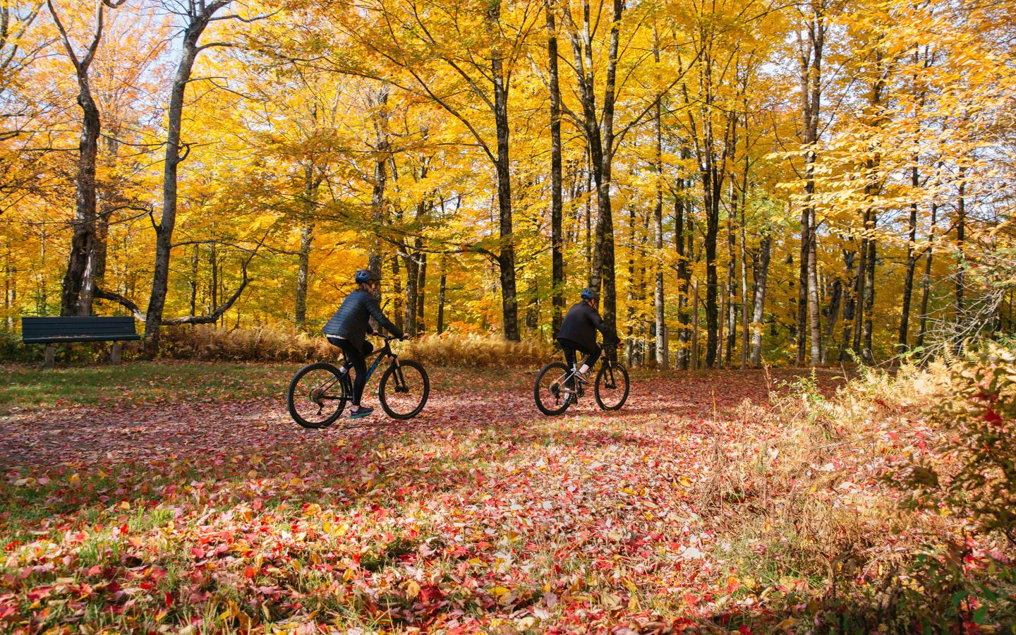 Fall Getaway Offers