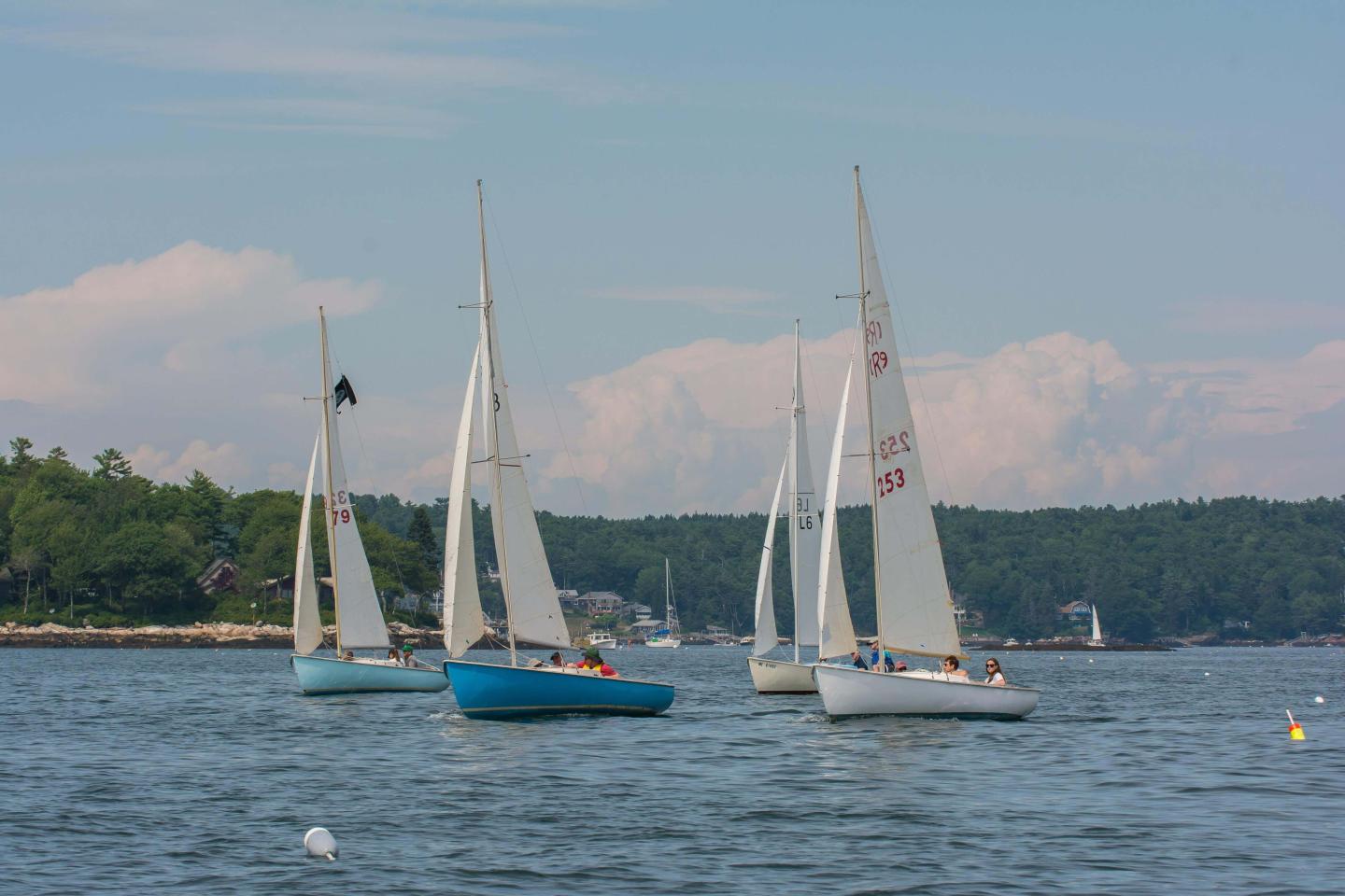 LBR Sailing