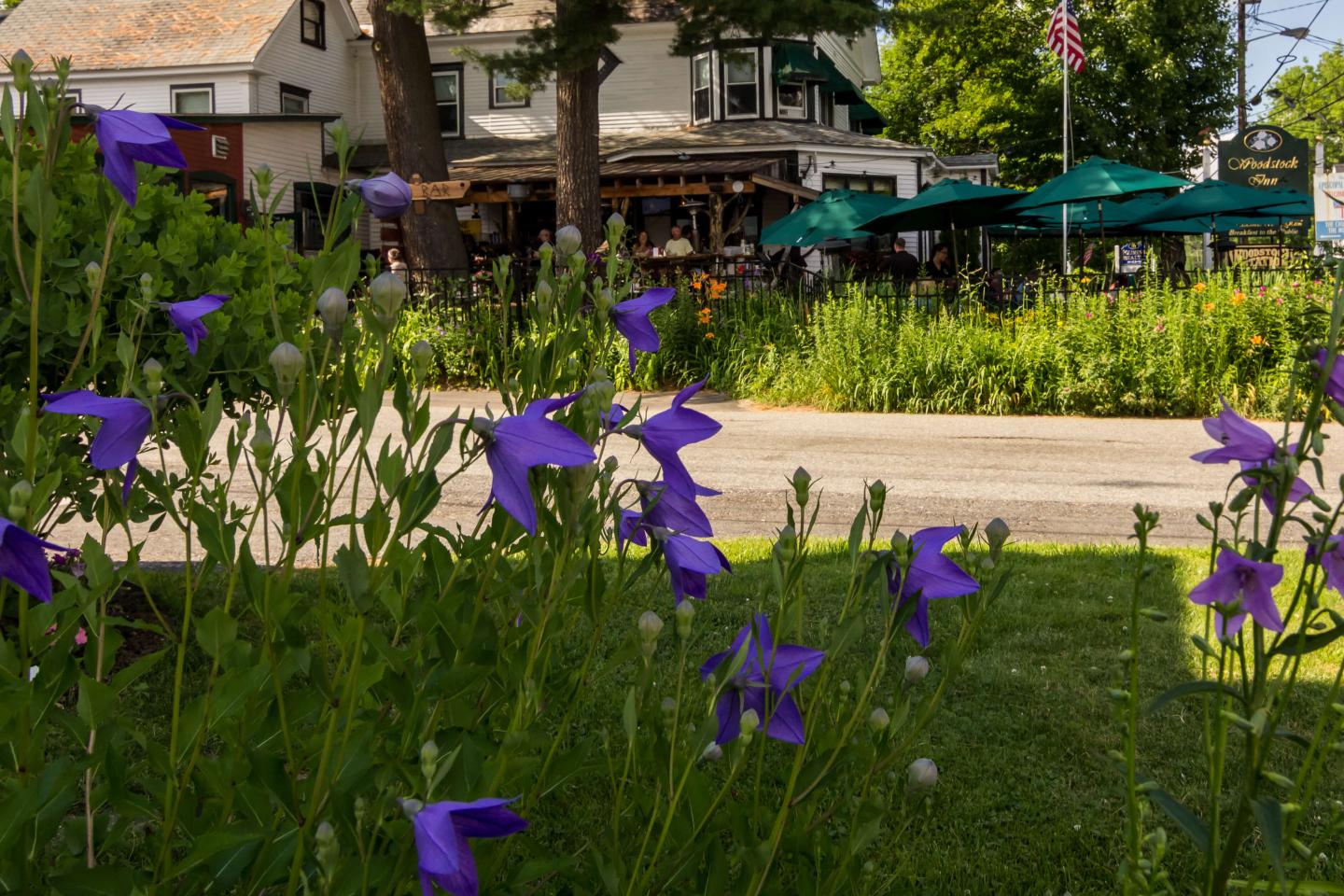 A view of our outdoor bar through the gardens of Woodstock Inn Brewery