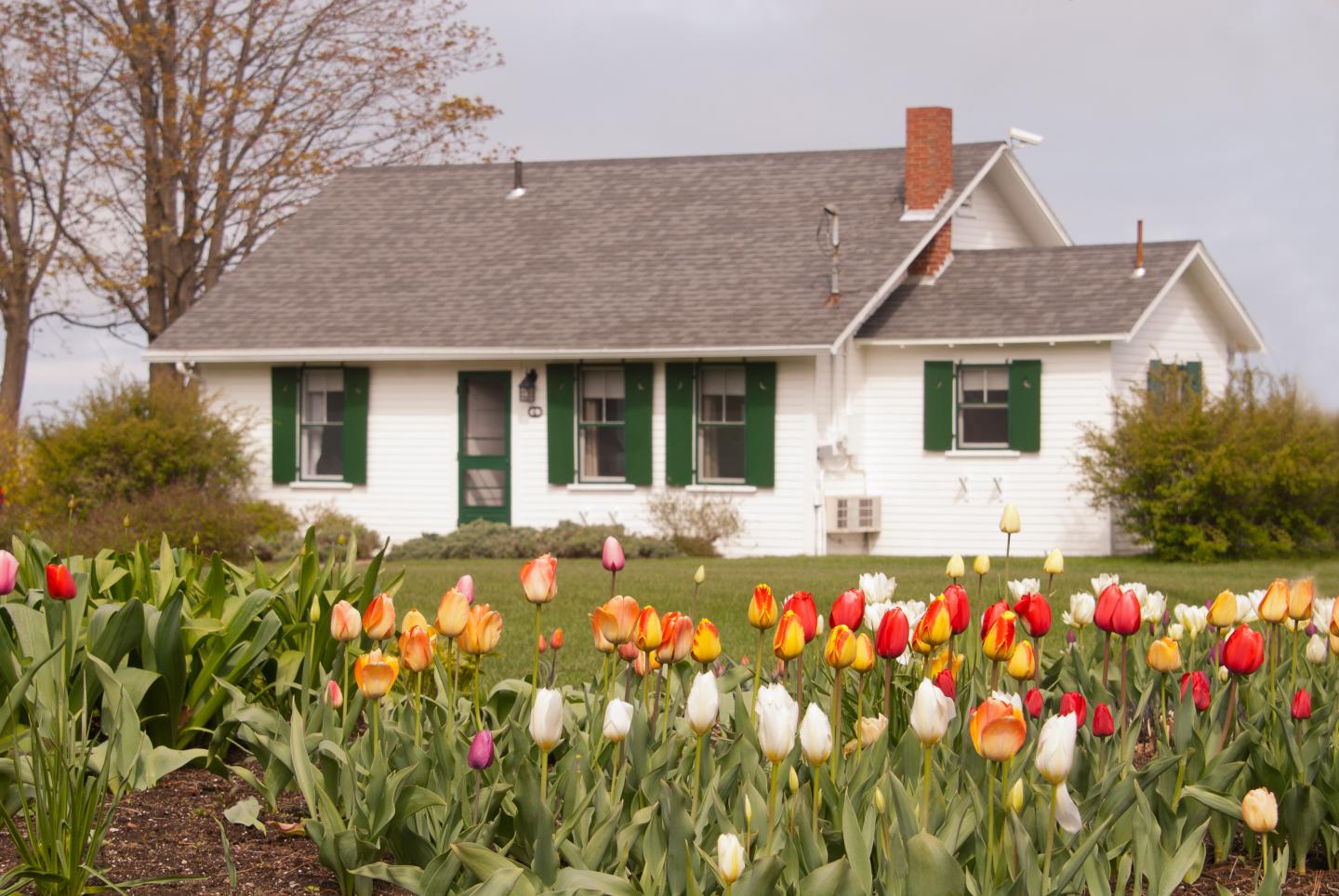 The Dunes on the Waterfront - Cottage