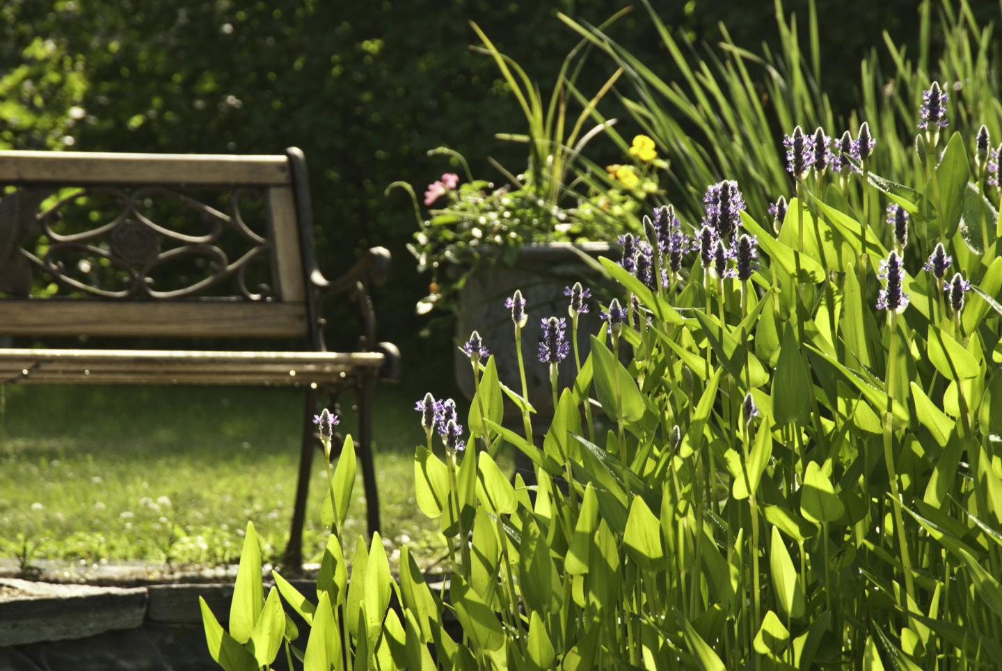 A beautiful spot to relax near the garden.