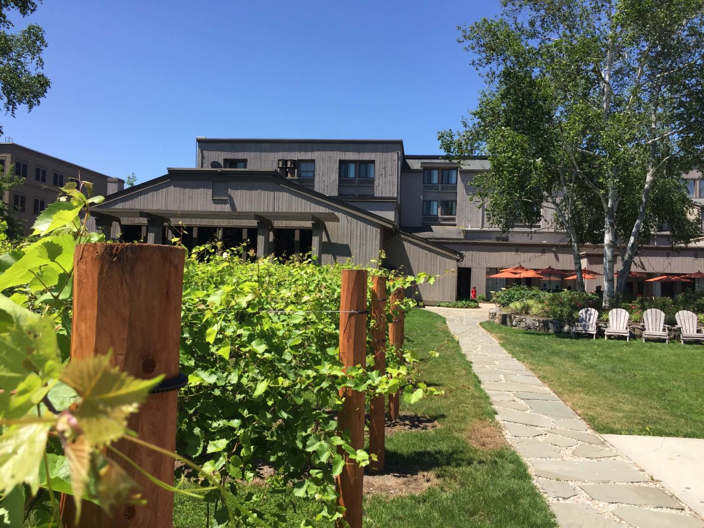 Heritage Vineyard and Timbers Patio