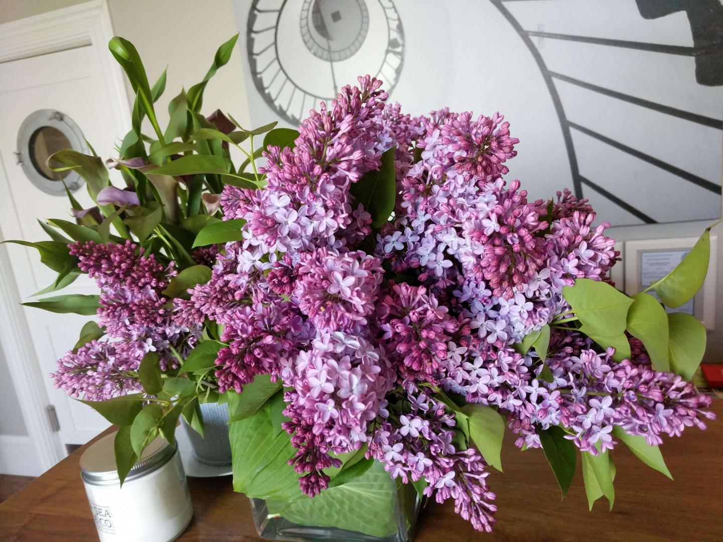Lilacs on the Desk