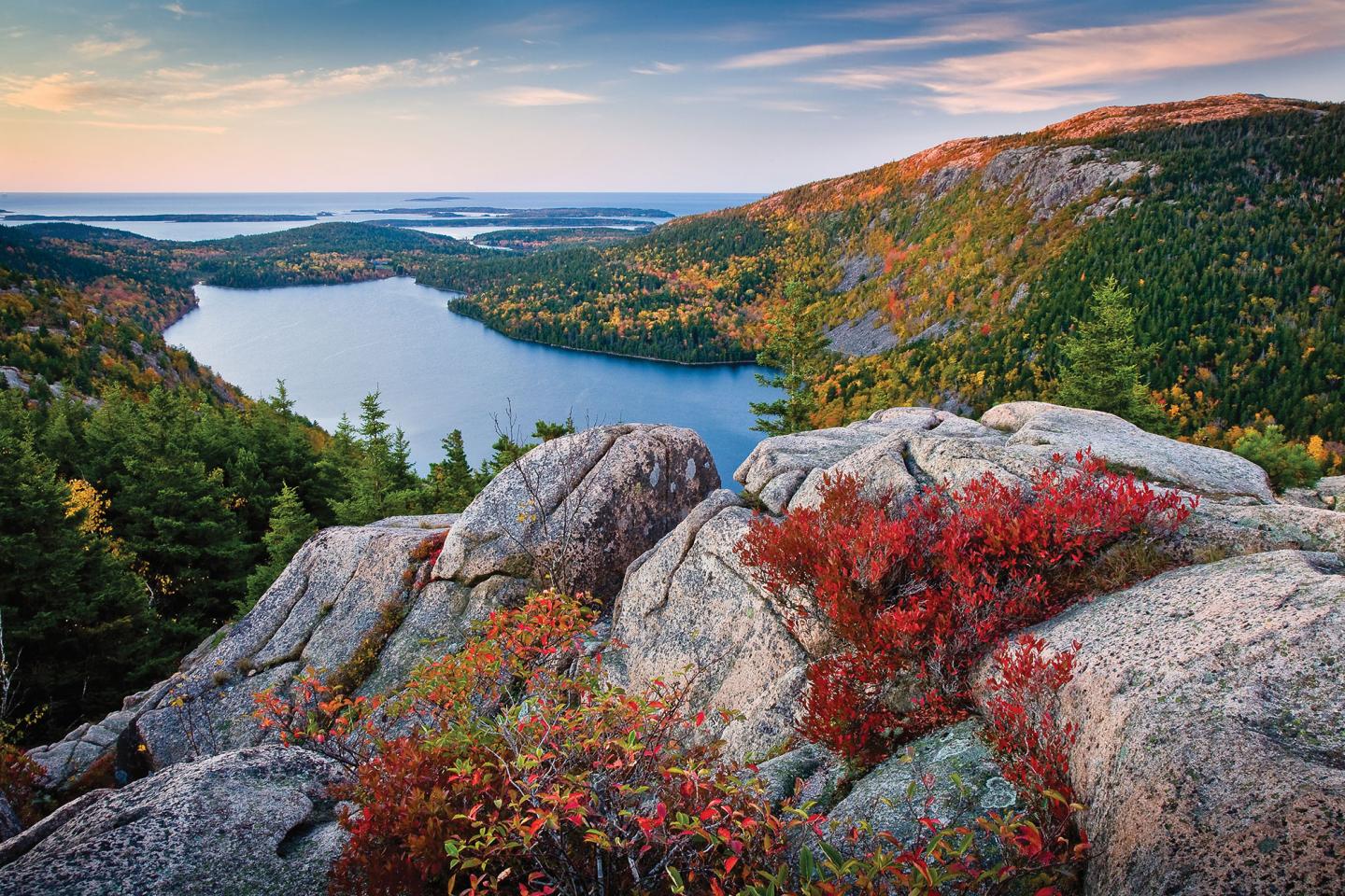 Maine Can Koozie - State With Trees