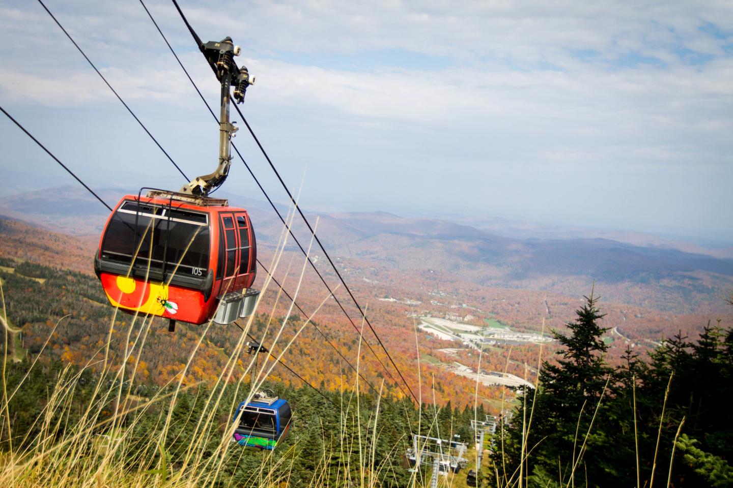 Scenic Gondola Rides to the top of the mountain, where you can enjoy amazing views and lunch at the Peak Lodge