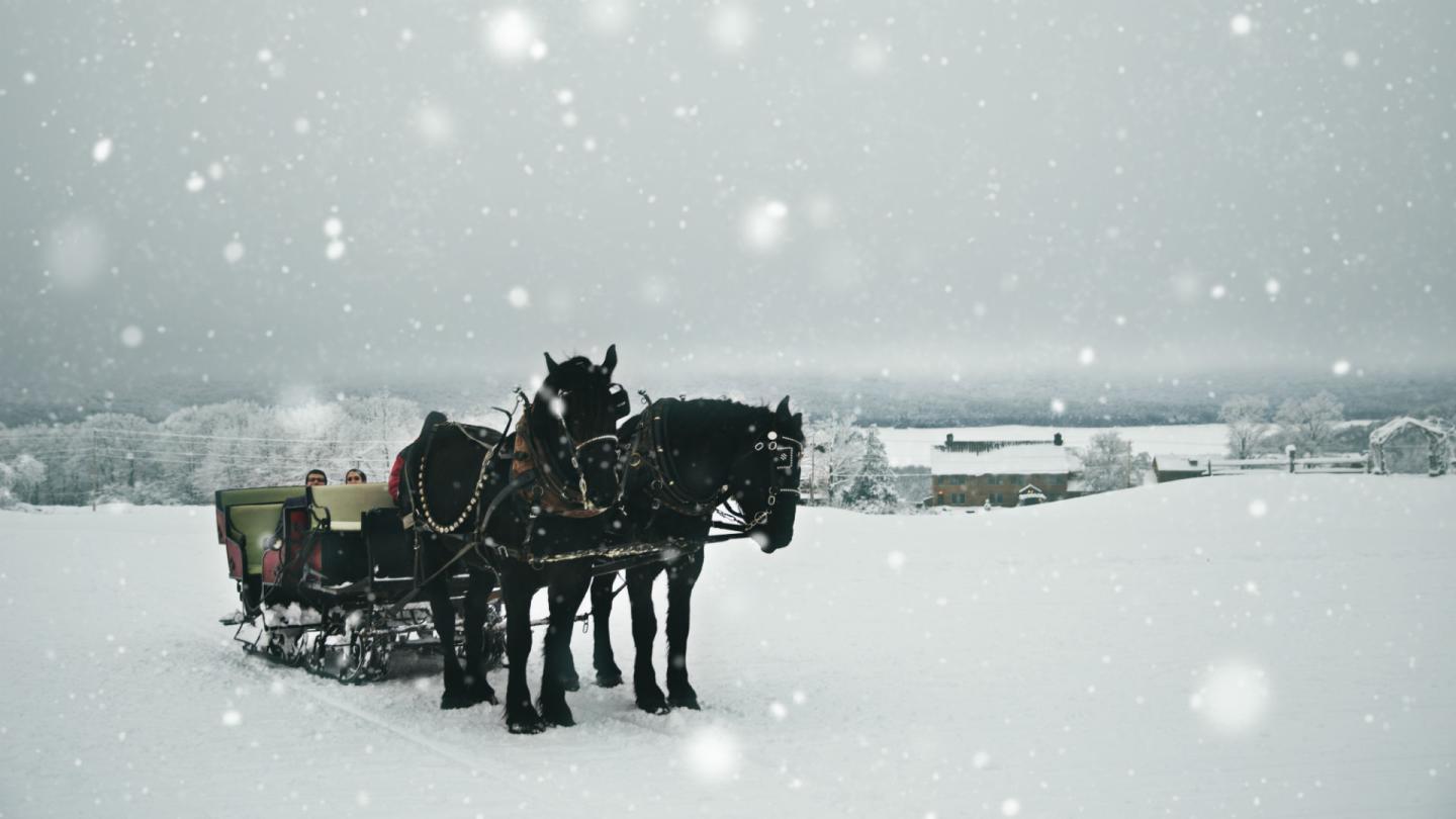 Mountain Top Inn & Resort horse drawn sleigh ride