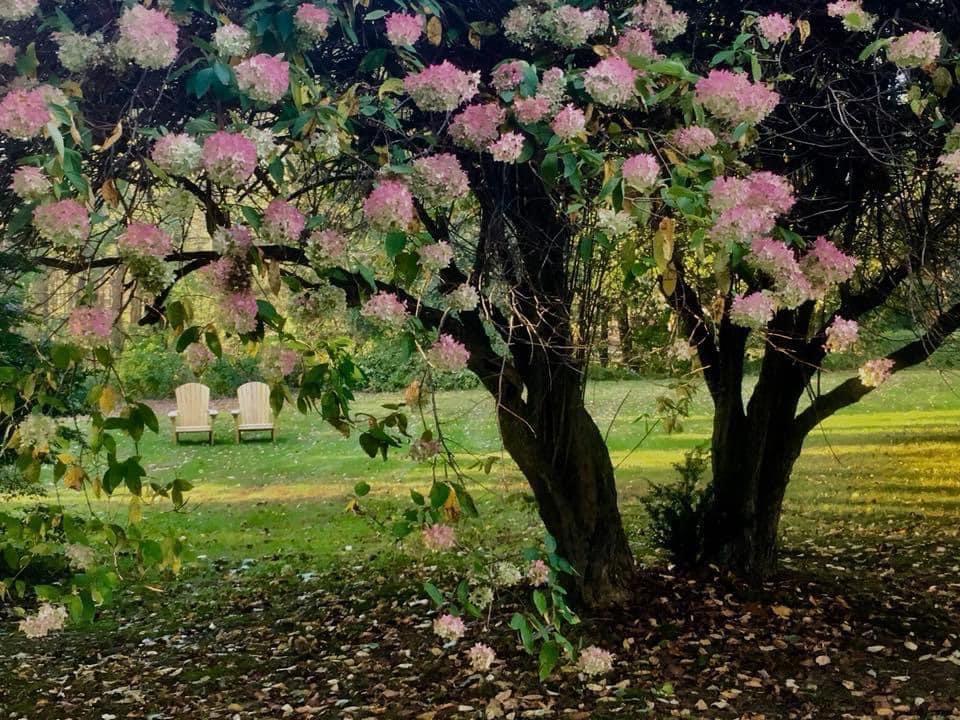 Manor House Inn Estate 