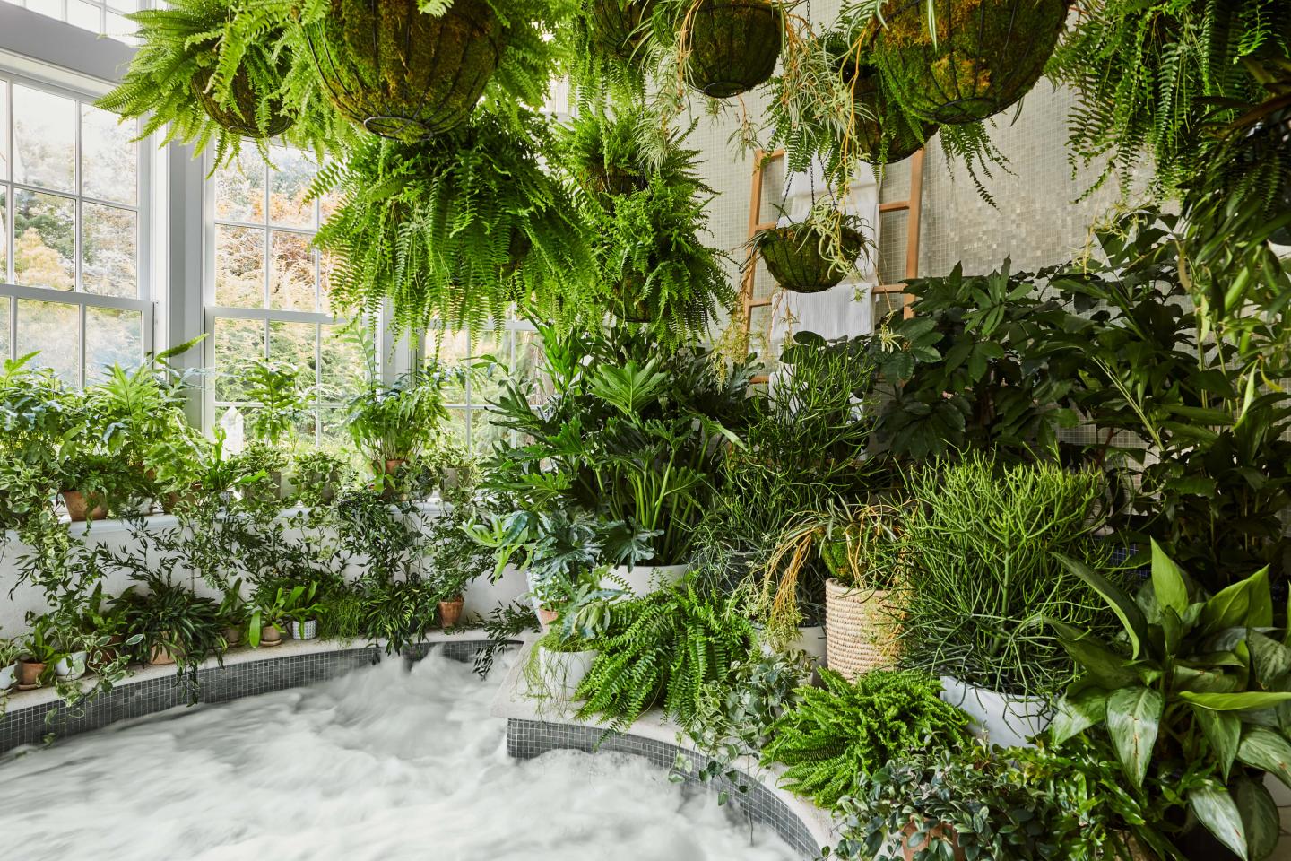 https://www.newenglandinnsandresorts.com/sites/default/files/media-images/Mayflower_Spa_Whirlpool_028%20%282%29_02.2021.jpg