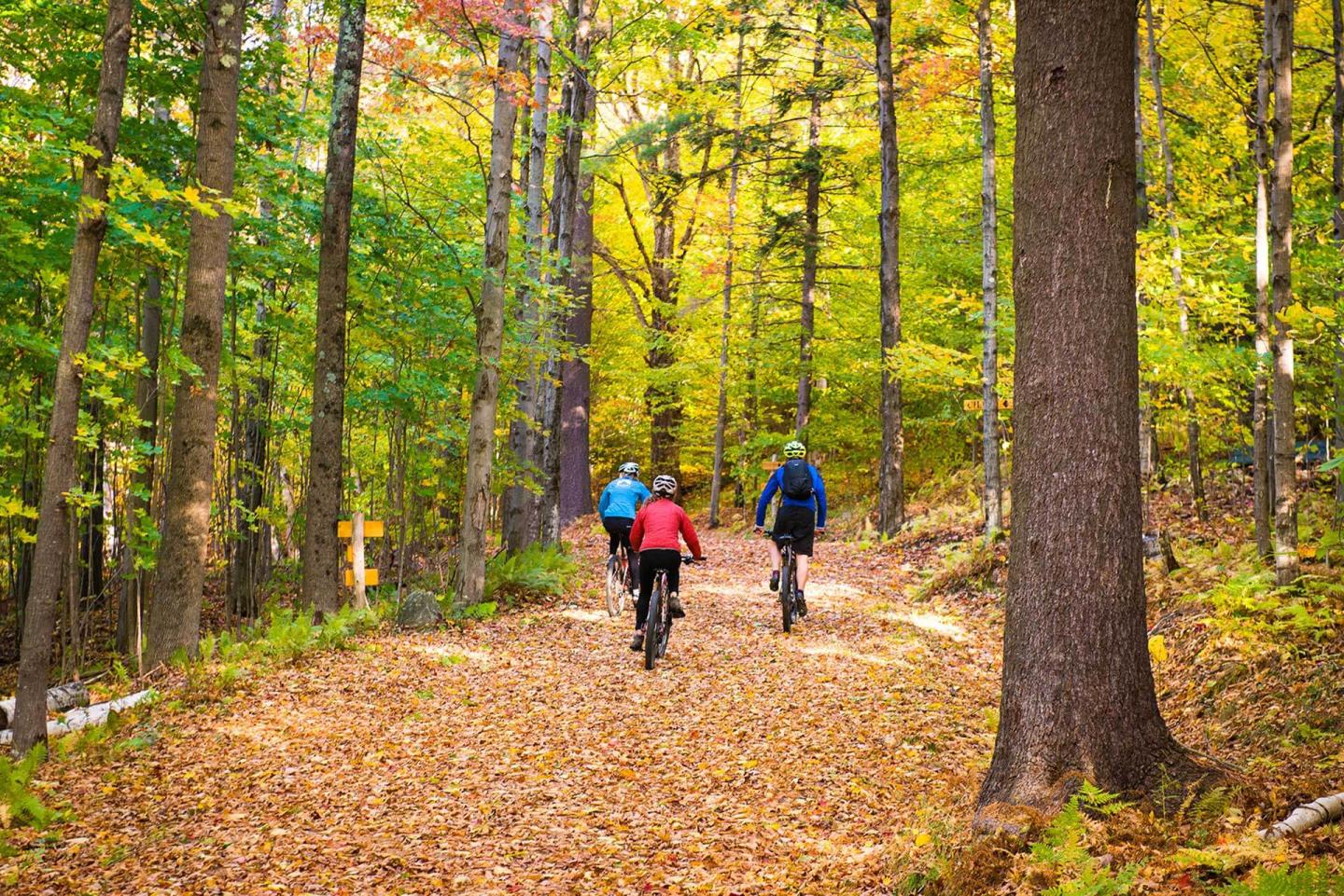 Vermont Foliage Mountain Biking