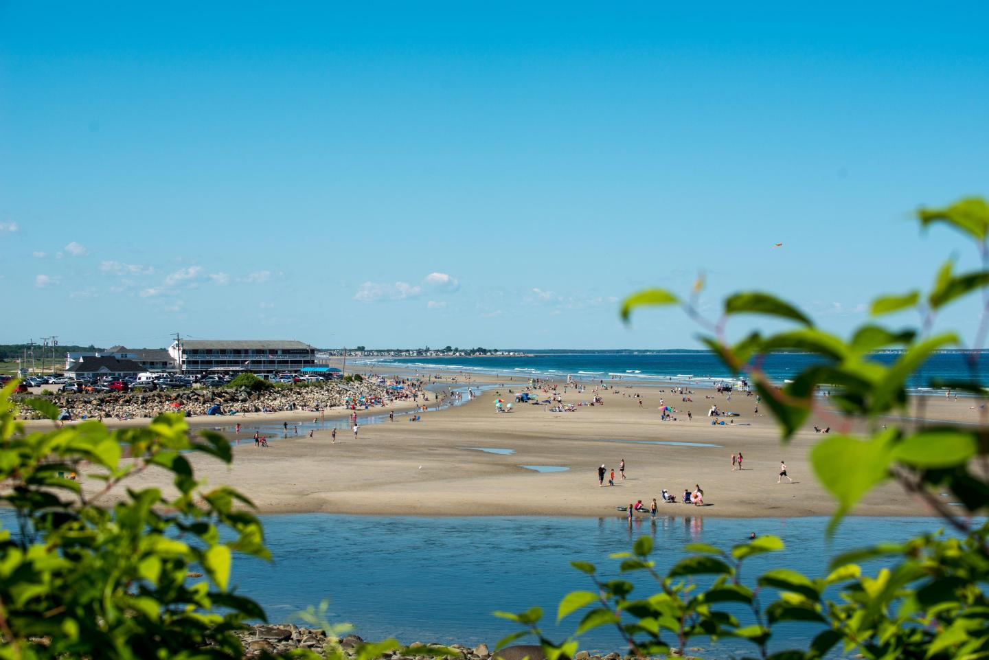 Sparhawk Oceanfront Resort - Beach