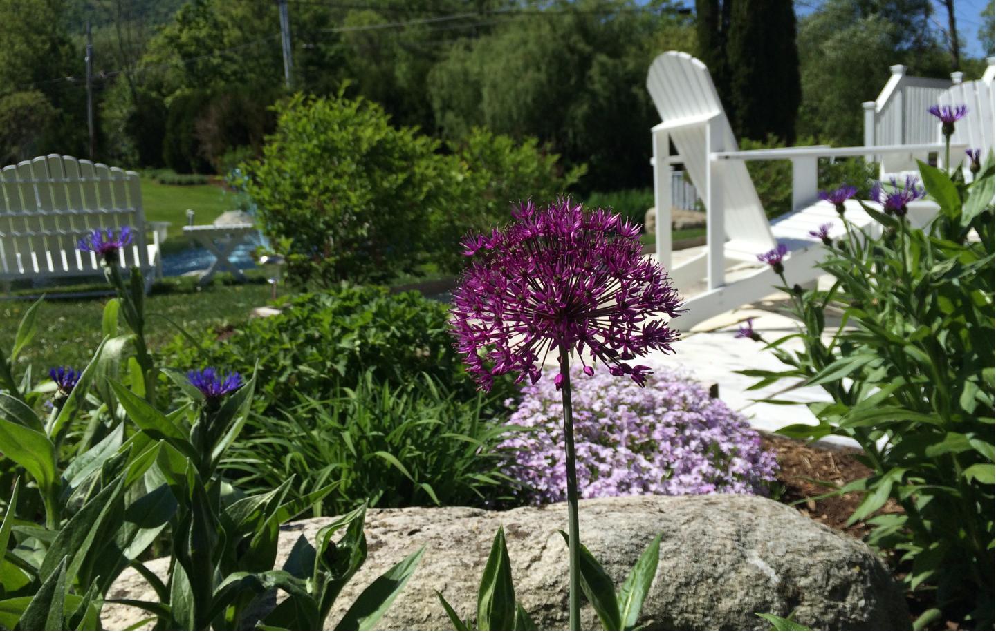 Reluctant Panther Inn & Restaurant - Garden