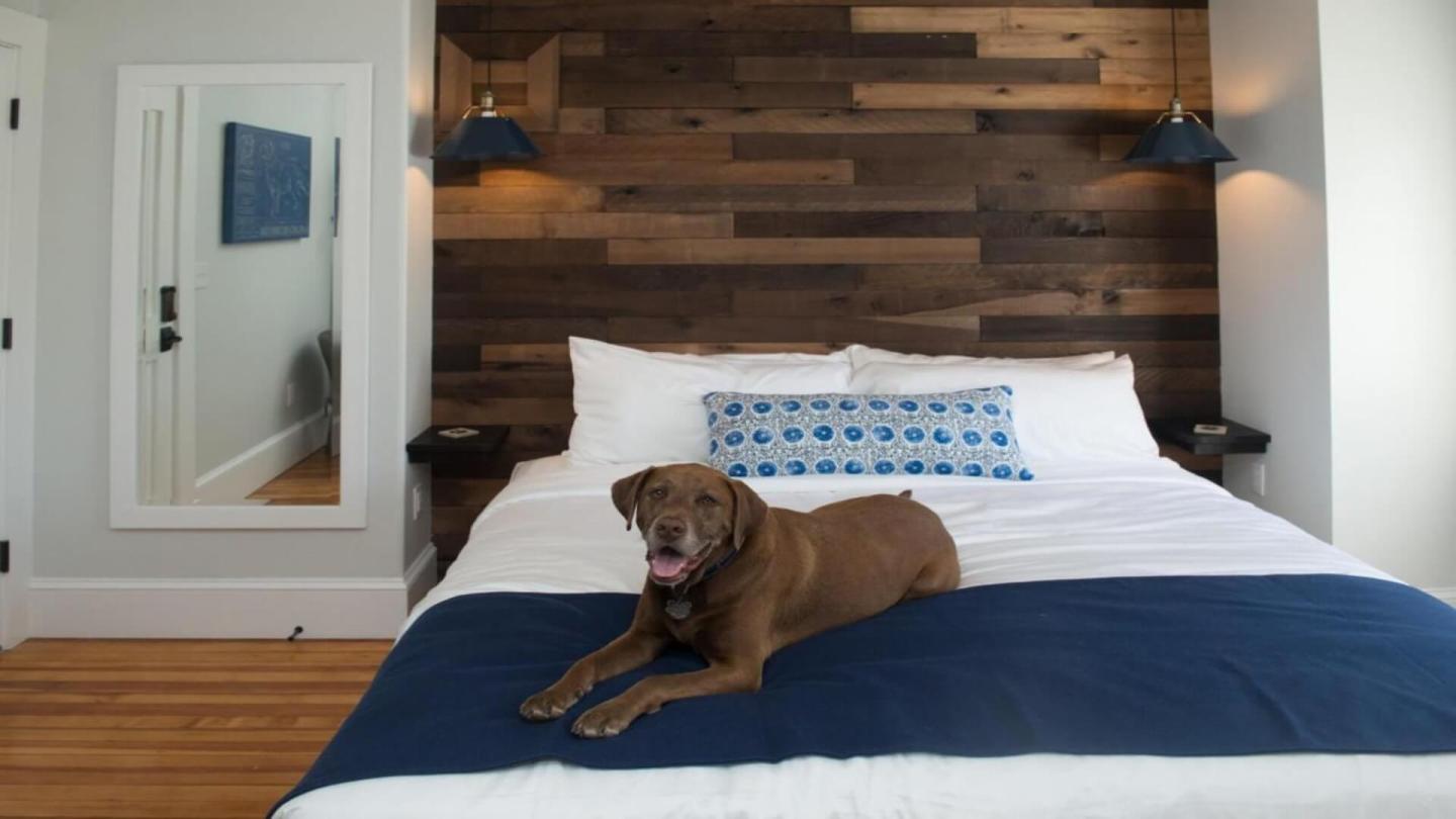 paws-on-pelham-rhode-island-beach-destinations