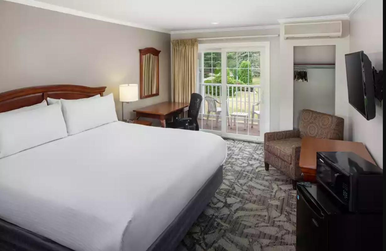 Standard King_01.2024