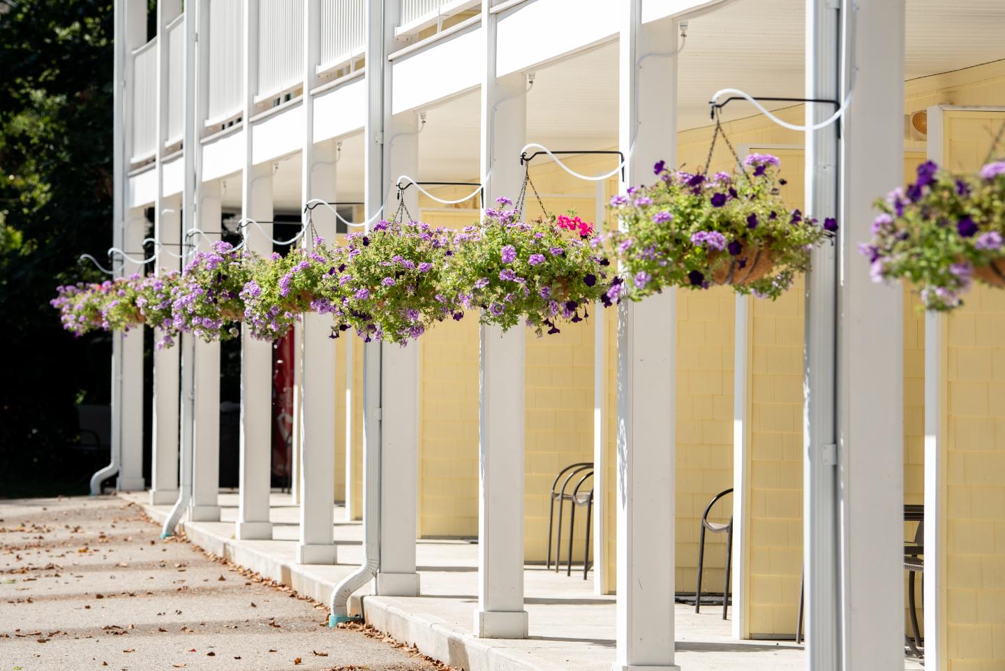 A view of our Flagship building