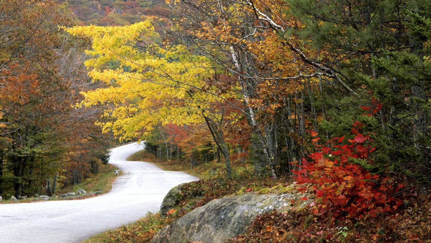 camden_hills_state_park_new_england