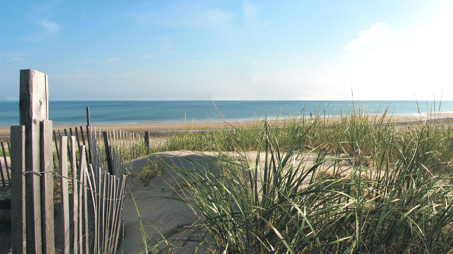Coast Guard Beach