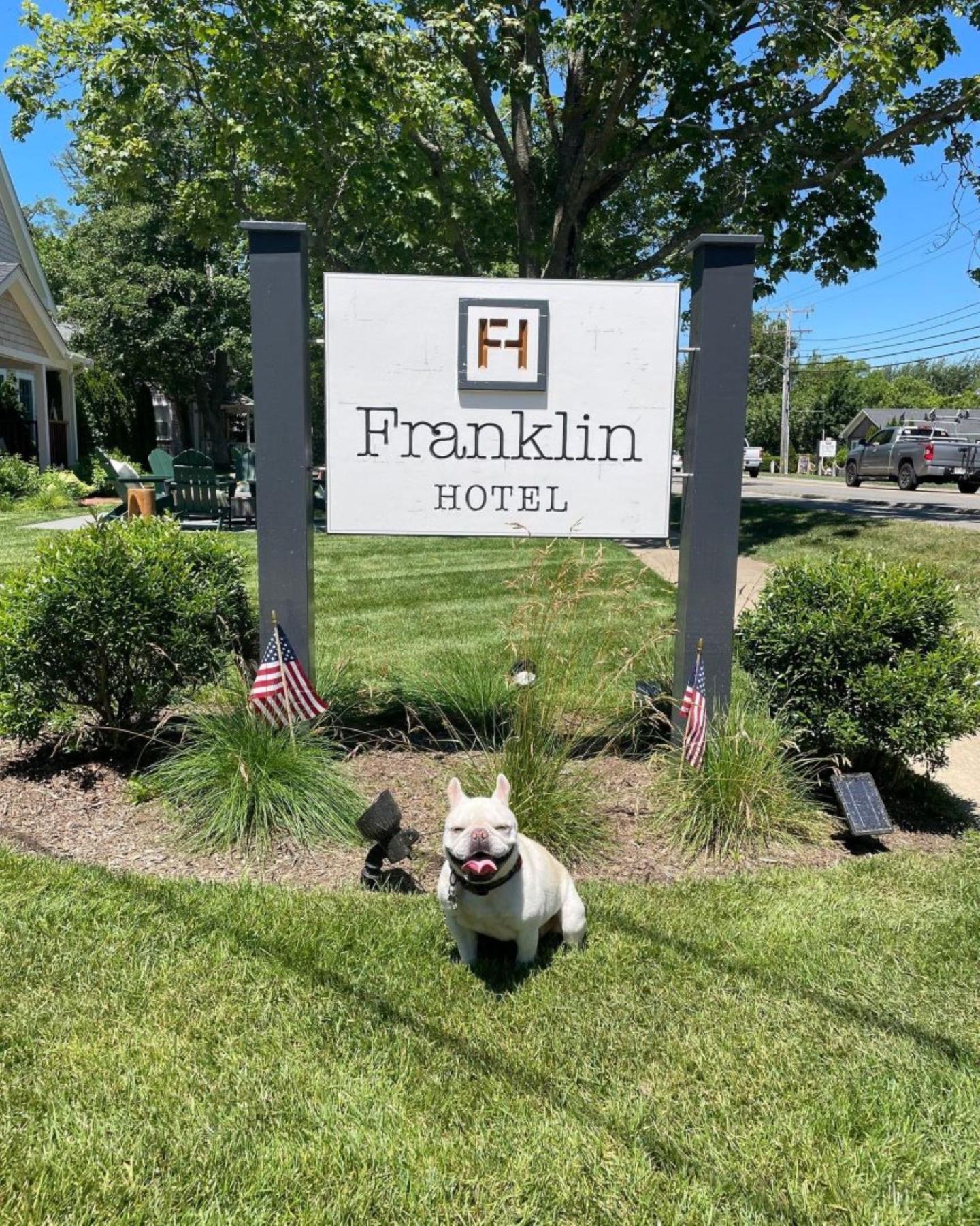 Dog with the Franklin Hotel sign