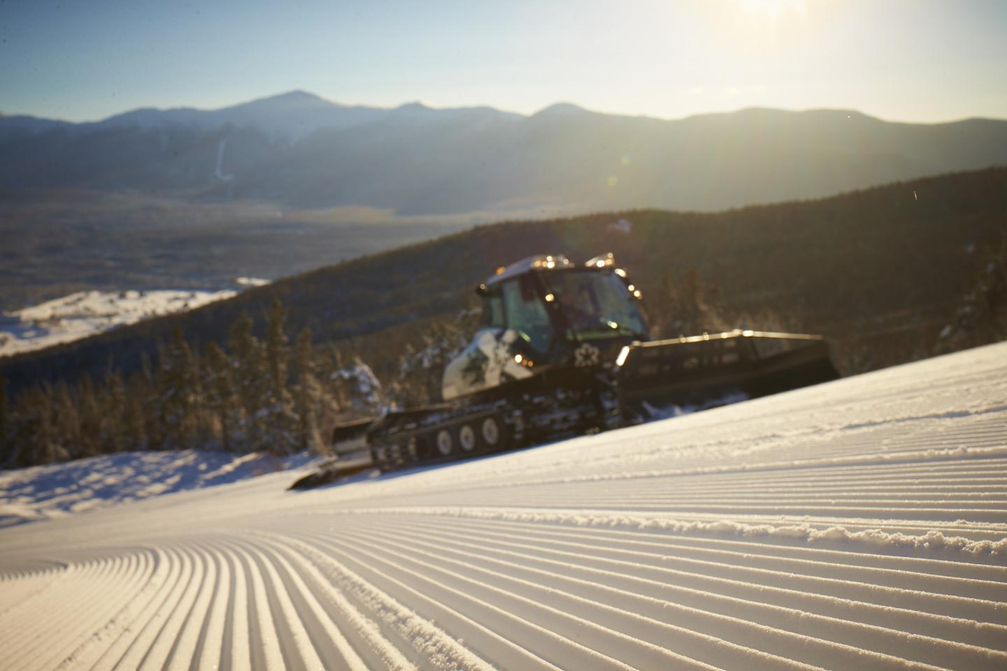 Best Grooming in the East at Bretton Woods