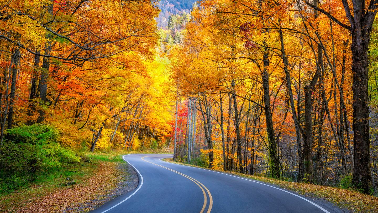 Fall Driving Tour New Hampshire