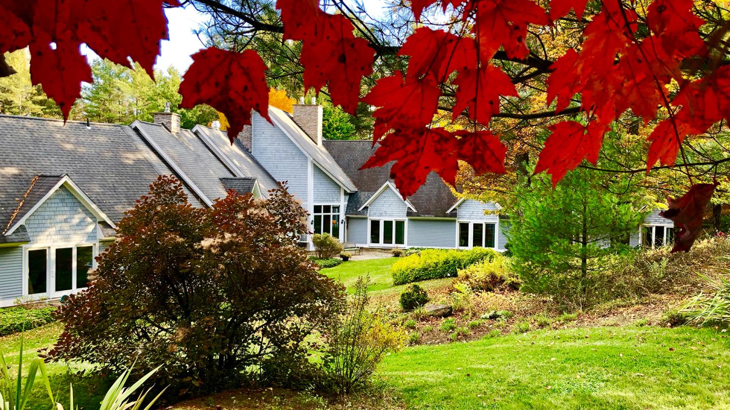 Backyard Garden during Leaf Season