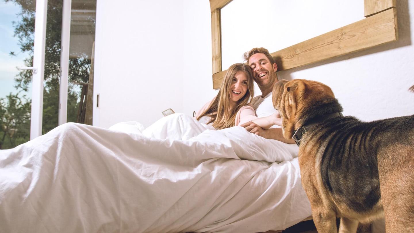 pet friendly wedding Glen House Hotel