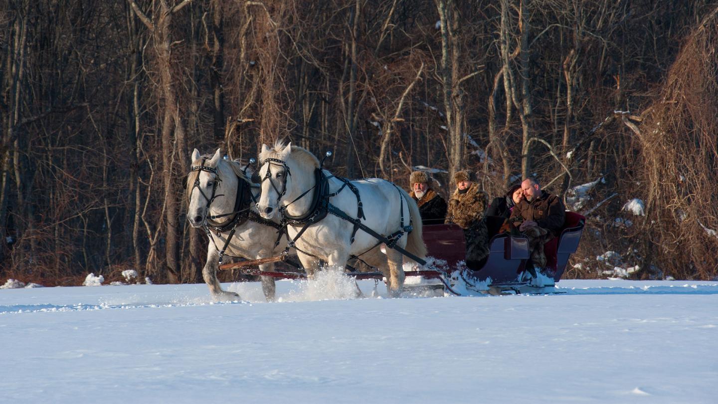 Holiday Events and Activities in New England