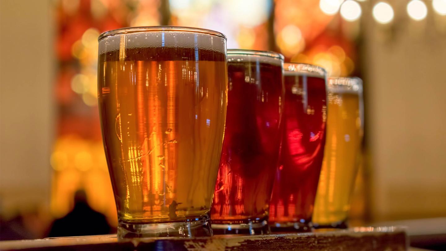 Maine Microbrewery Tours