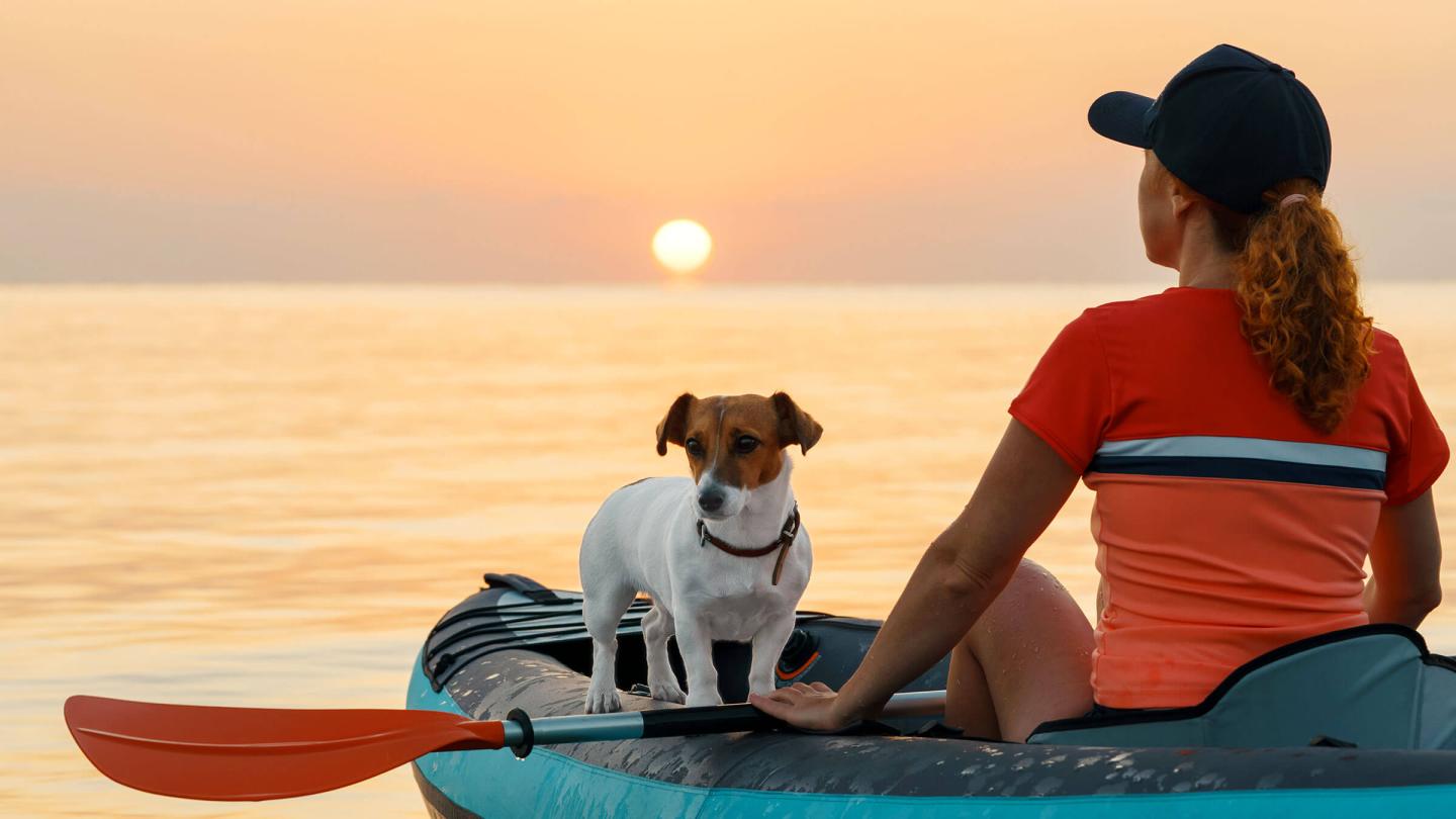 Maine Pet Friendly Lodging