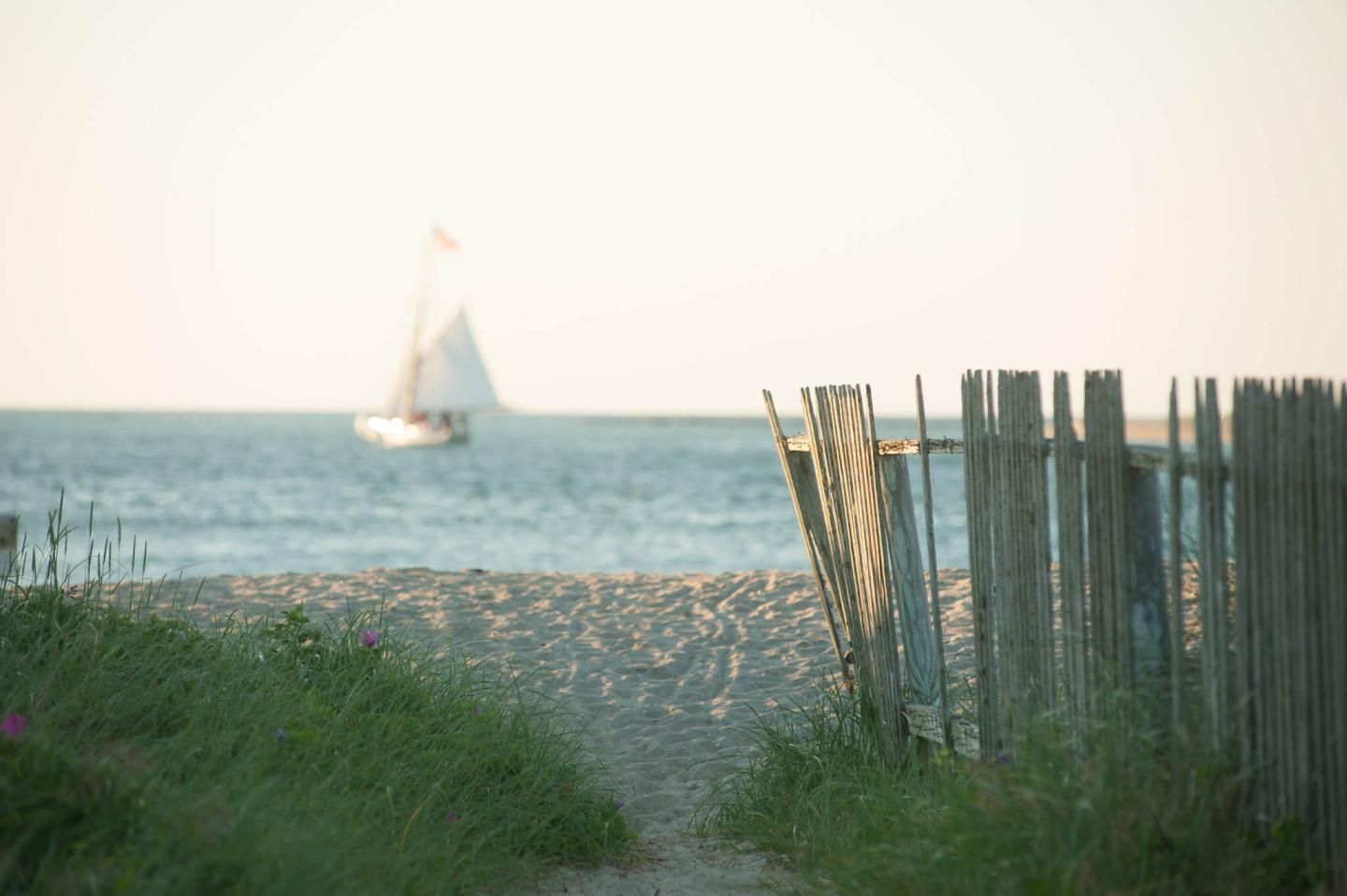 sandy beach with a sailboat in the distance on nantucket