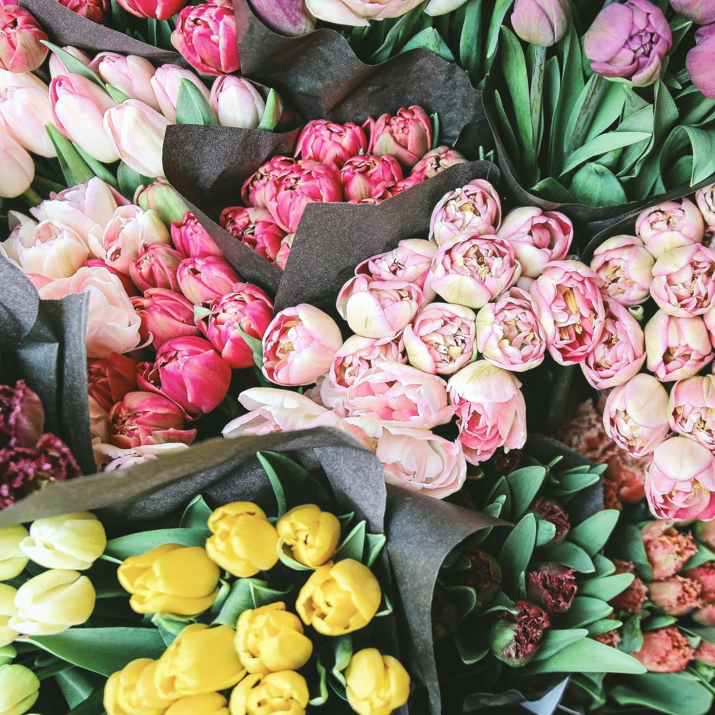 Mothers day offers